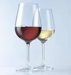 Leonardo Verres à Vin Tivoli II (lot De 6) 11 Leonardo Verres à Vin Tivoli II (lot De 6) -Umbraen Boutique 1000263083 230317 020 MOOD DETAILS P000000001000263083 mood