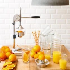 Presse à Fruits MENUETT -Umbraen Boutique 1000364213 220719 022 MOOD DETAILS P000000001000364213 mood