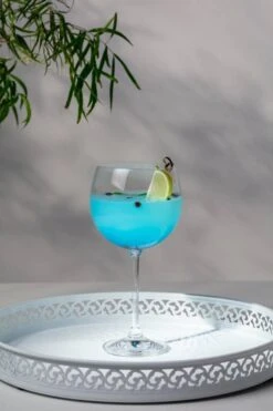 Krosno Venezia Verres à Gin Ballon -Umbraen Boutique 5b7ed7739b0e41be843f7b3d6f7955f5