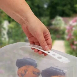 Boîte à Gâteau Rectangulaire 34 Boîte à Gâteau Rectangulaire -Umbraen Boutique ab101c13110e42d4a1dd5508fbfe6f43