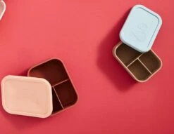 Boîte à Déjeuner Rose 15 Boîte à Déjeuner Rose -Umbraen Boutique b86381d9582f48e4833bbbf551556015