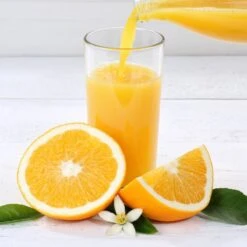 Verres à Cocktails En Verre Lot De 24 -Umbraen Boutique c575abf6252443399f5e2d4cbbfe833a