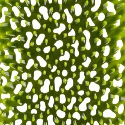 Sèche-biberons -Umbraen Boutique e8fd304b0bac447984f383e9ef4f8888